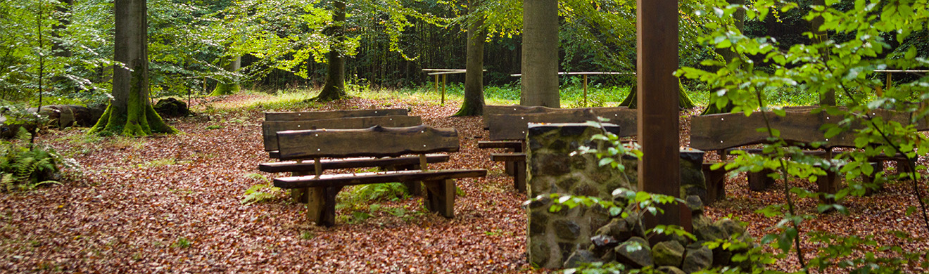 Ruheforst in Dortmund mit Baumgräbern – friedliche, naturnahe Baumbestattung mitten in der grünen Umgebung der Stadt