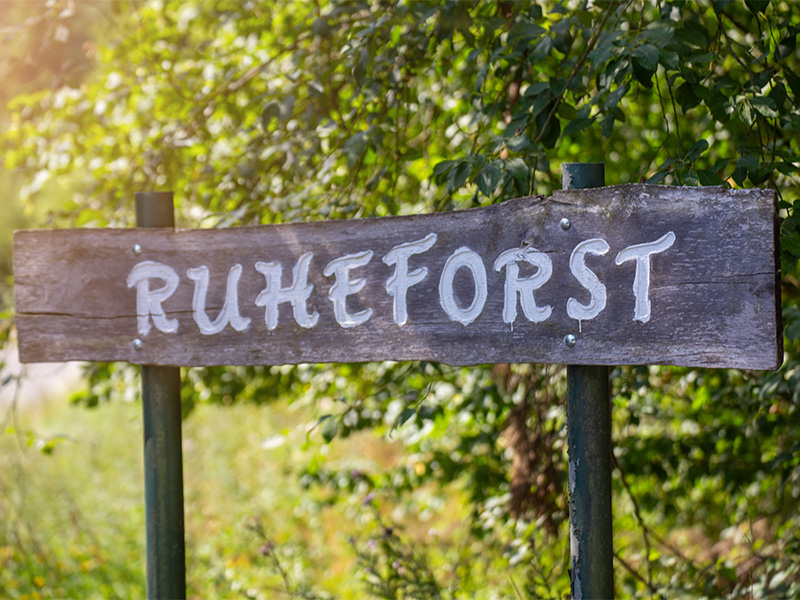Schild mit Aufschrift Ruheforst im Wald – Hinweis auf mögliche Baumbestattung in friedvoller Natur.