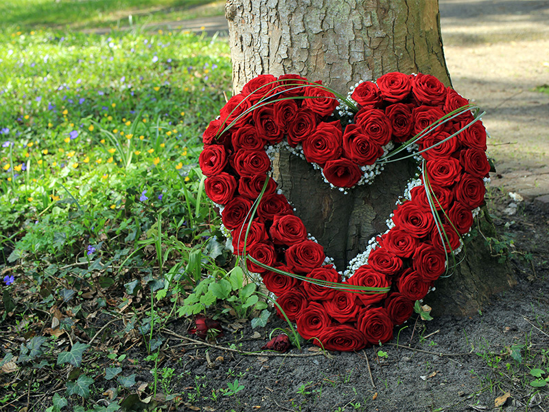 Trauergesteck vor Baum im Wald – stimmungsvolles Bild einer Waldbestattung in stiller Natur.
