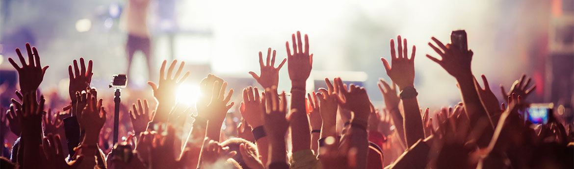 crowd at concert - summer music festival