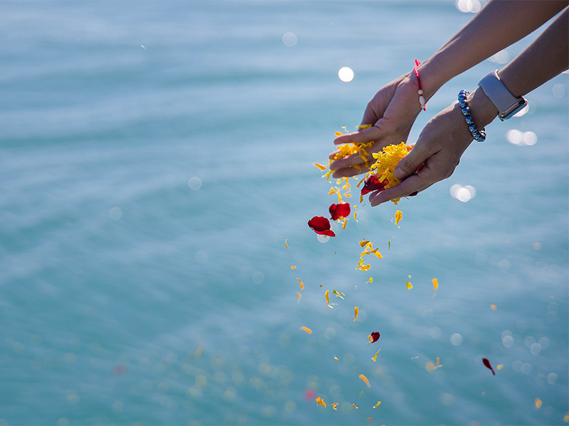 Eine Frau wirft Blumenblätter auf das Meer – symbolische Handlung einer Seebestattung.